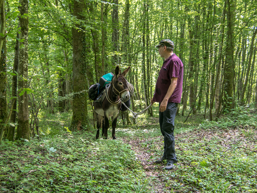 Randonnée avec un âne