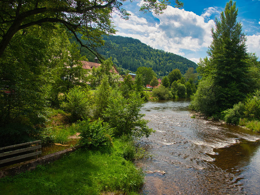 Nature près de Wolfach