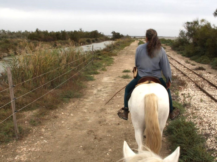 Faire du cheval en Camargue