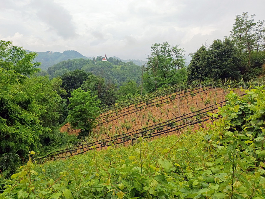 paysages de randonnée