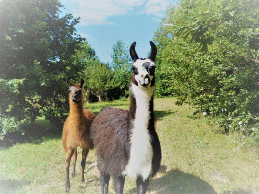 Ferme en France