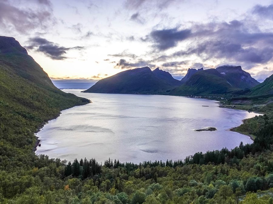 Point de vue sur le Bergsfjord