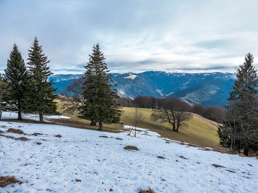 Paysage enneigé Schauinsland