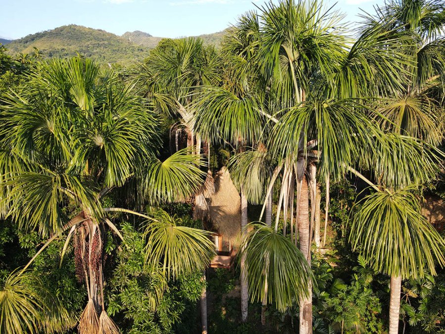 Puqio Ecolodge Puqio Ecolodge