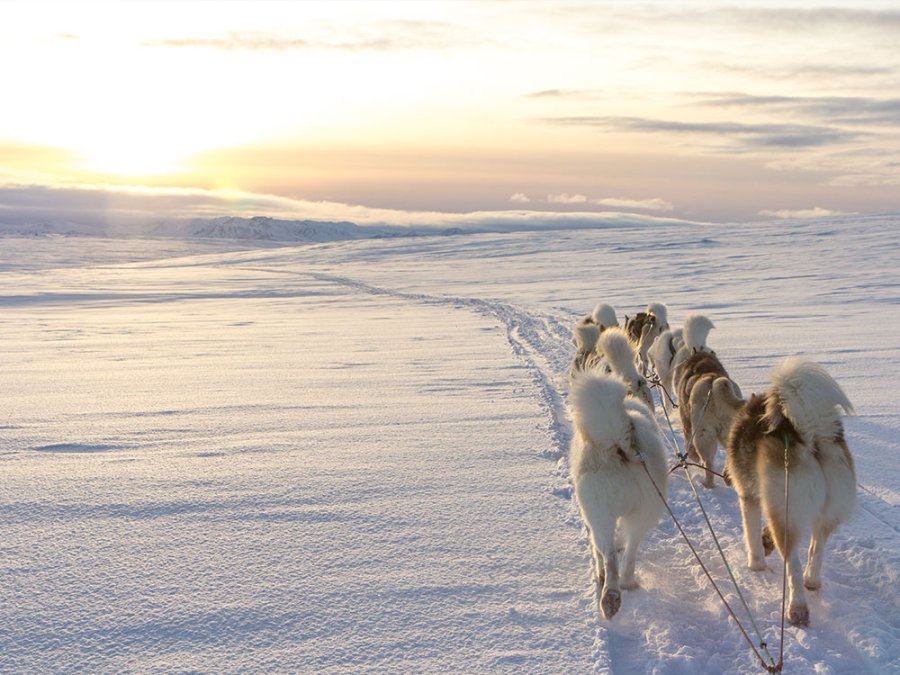 Activité hivernale en Islande Activité hivernale en Islande