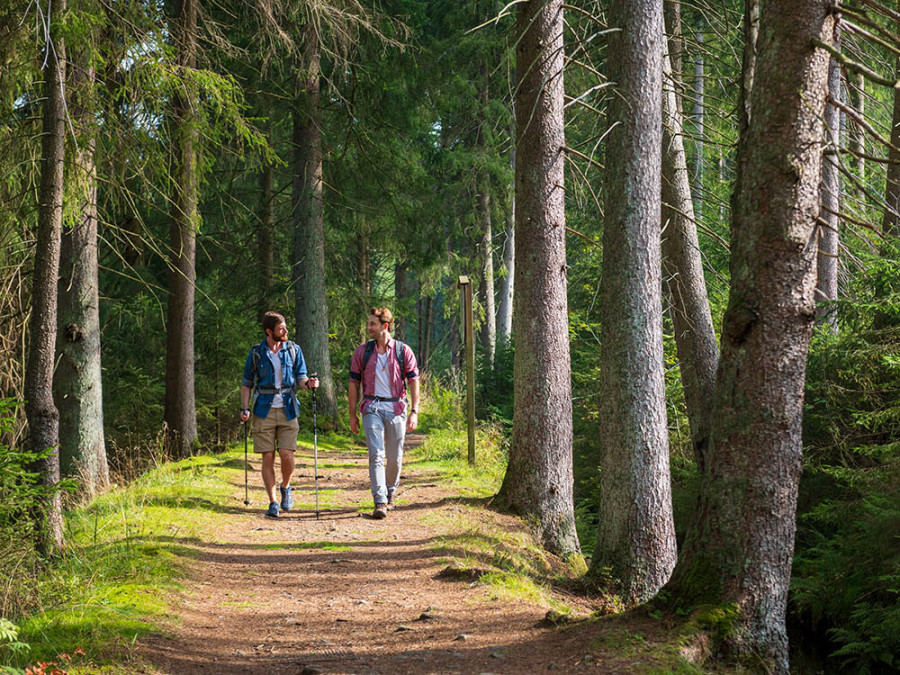 Trek dans le Harz Trek dans le Harz