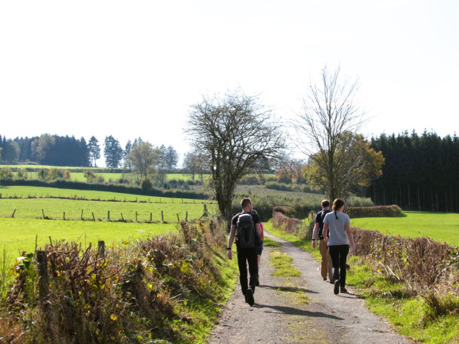 Campagne de Malmedy