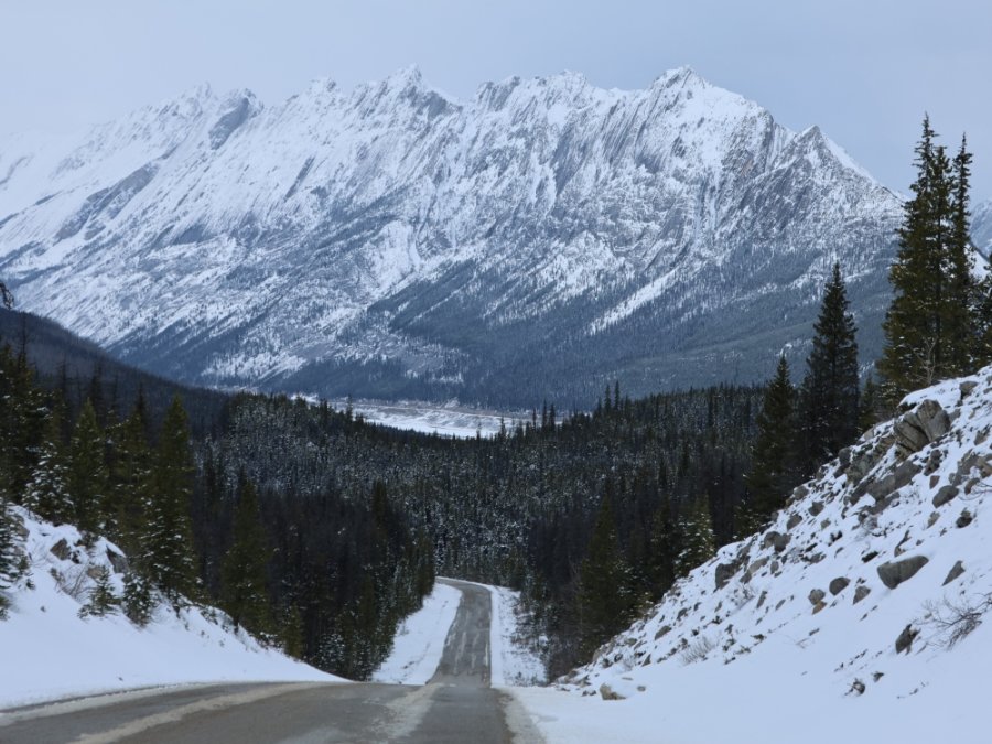 Paysage hivernal à Jasper