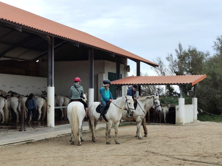 Tour équestre Camargue