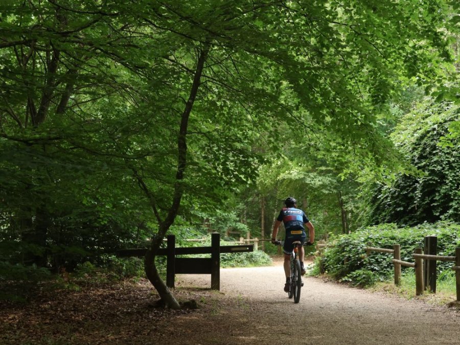 Vacances à vélo en Champagne