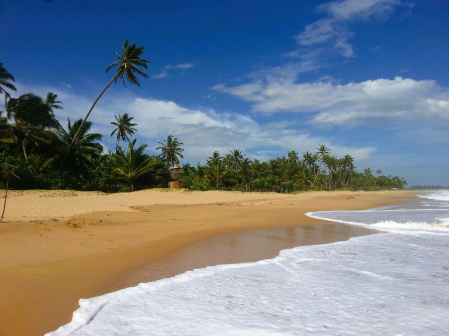 Sud du Sri Lanka