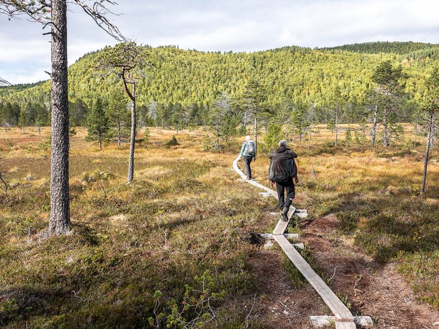 Sentier en bois dans Ånderdalen