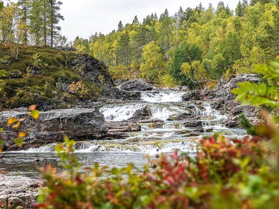 Chute Fiskesti