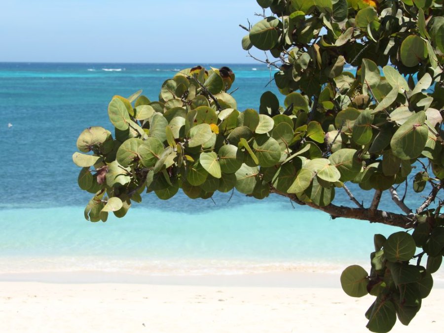 îles Amérique centrale