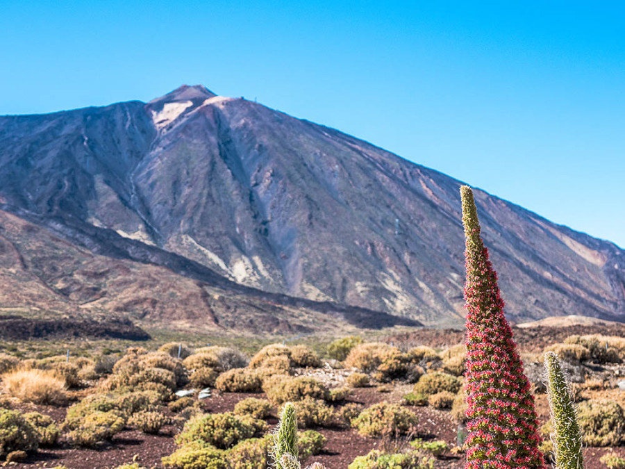 Teide Teide