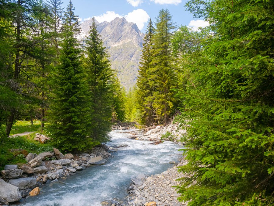 Nature à La Fouly
