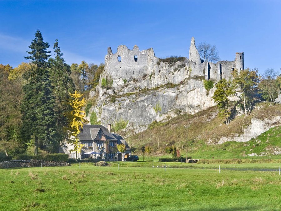 Ruines du château de Montaigle