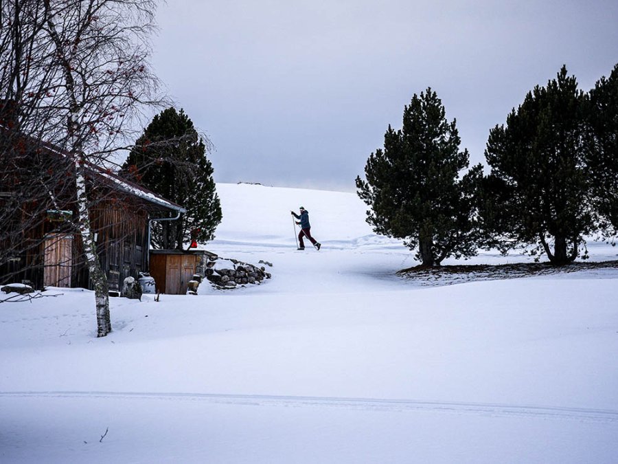 Ski de fond en Haute-Savoie, au Mont-Blanc Ski de fond en Haute-Savoie, au Mont-Blanc