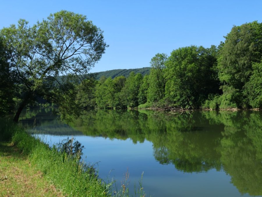 Randonnée en pleine nature