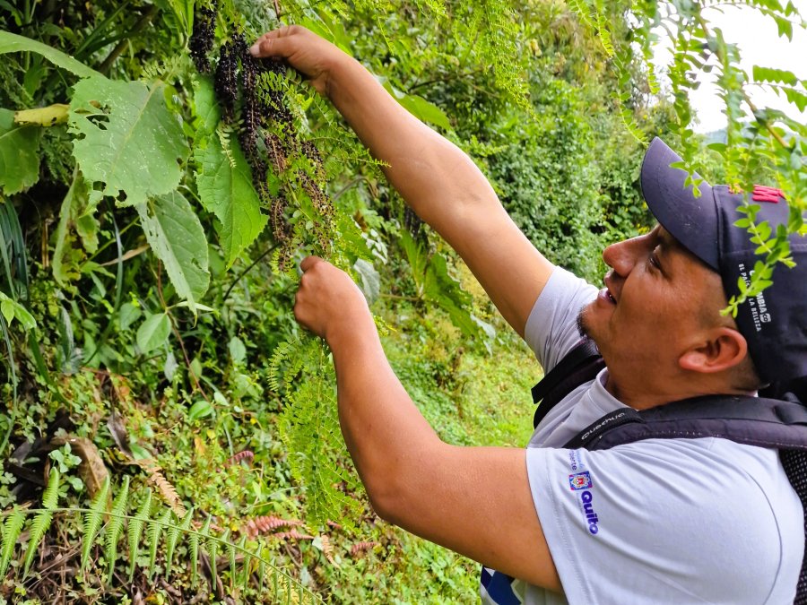 Guide nature de Yunguilla Guide nature de Yunguilla