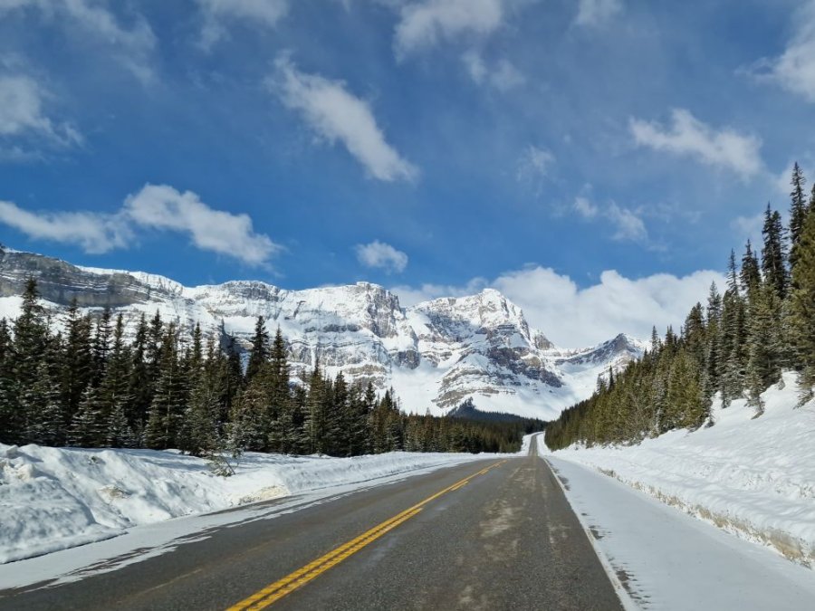 Route célèbre entre Banff et Jasper