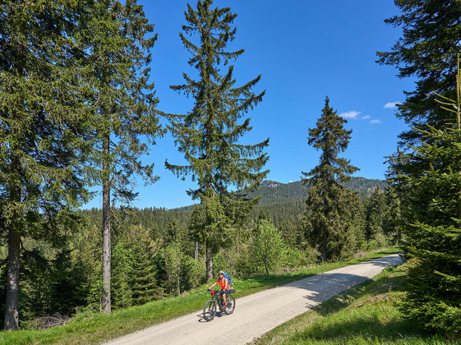Randonnées à vélo dans la Forêt-de-Bavière