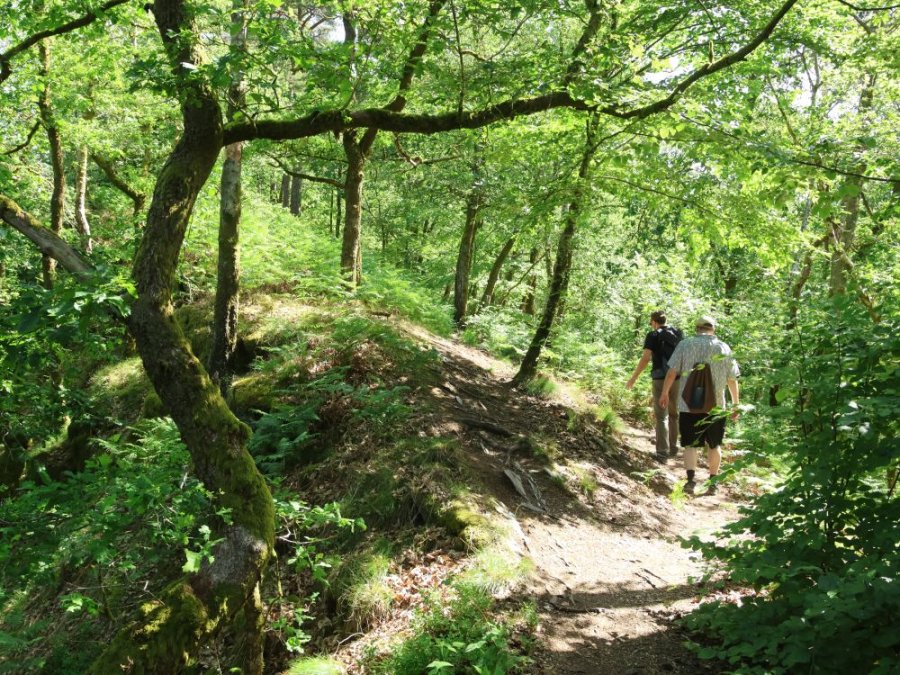Se promener dans les Ardennes françaises