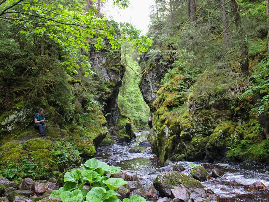 Höllloch Haslachschlucht Höllloch Haslachschlucht