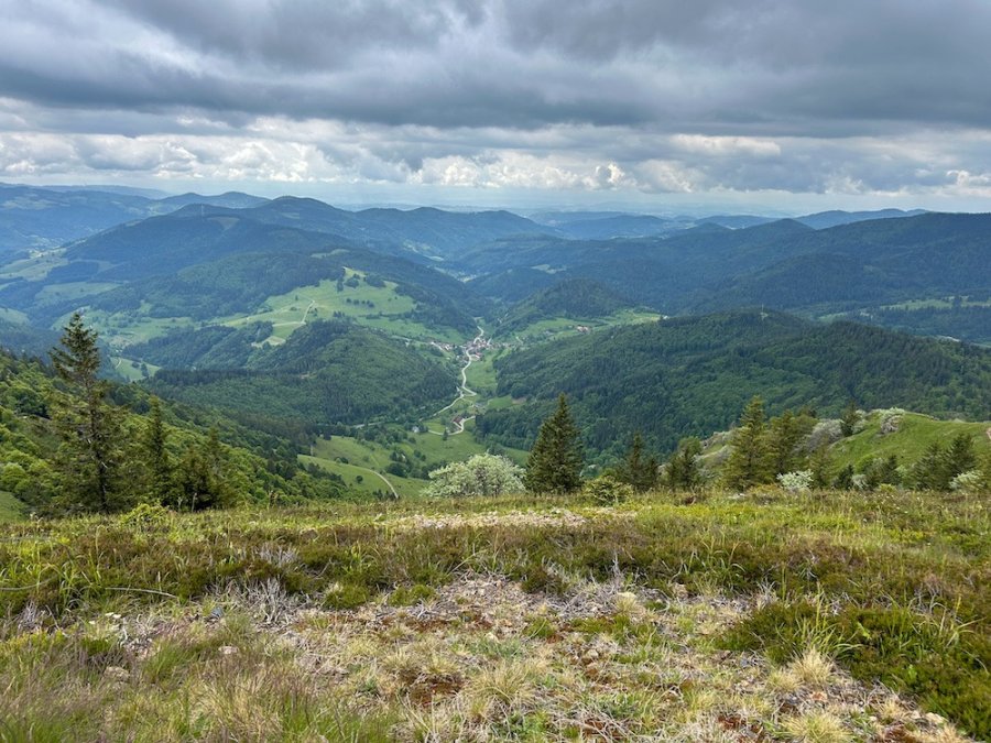 Collines de la Schwarzwald