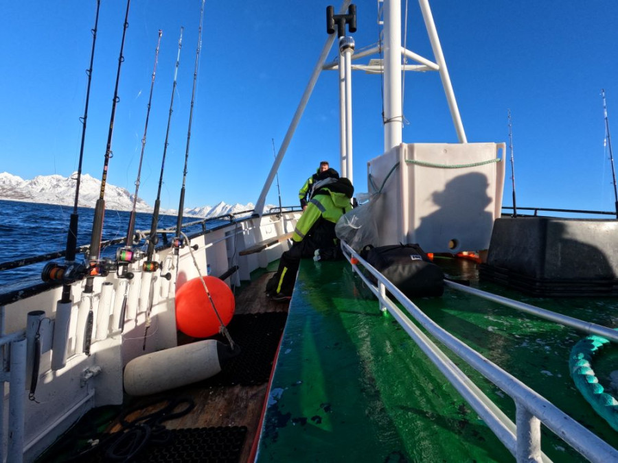 Pêcher aux Lofoten Pêcher aux Lofoten