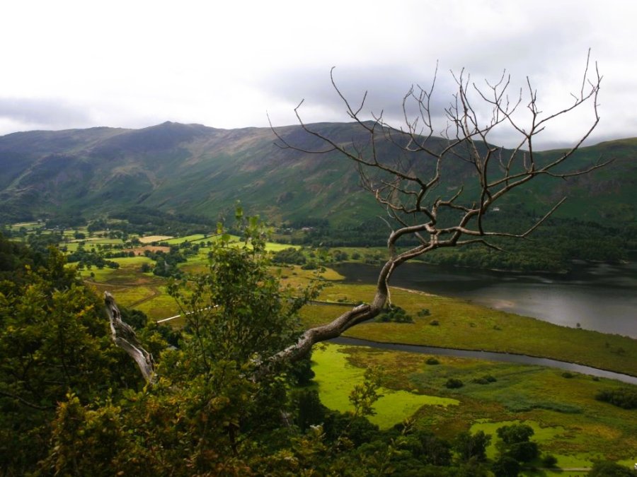 Paysage et nature