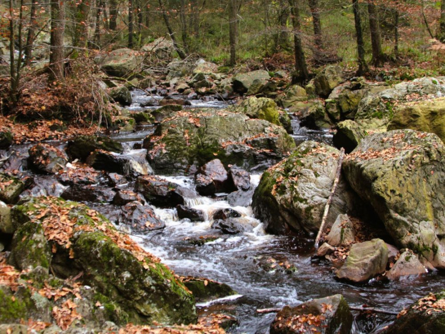 Cours d'eau de Malmedy
