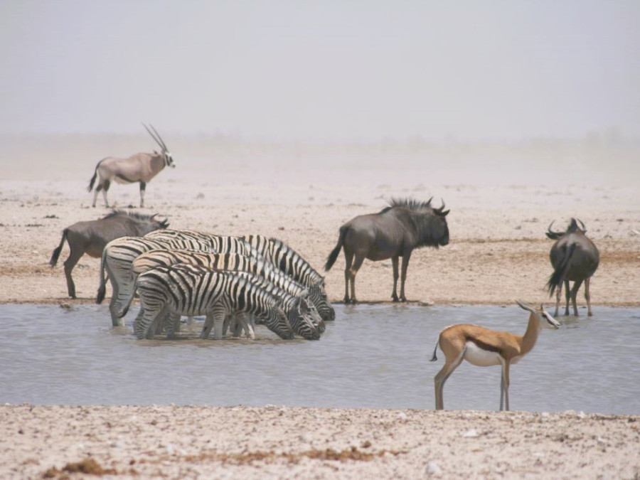 Circuit en Namibie