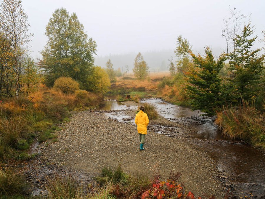 marche hautes fagnes
