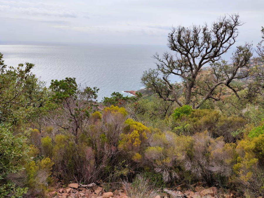 Nature en Provence