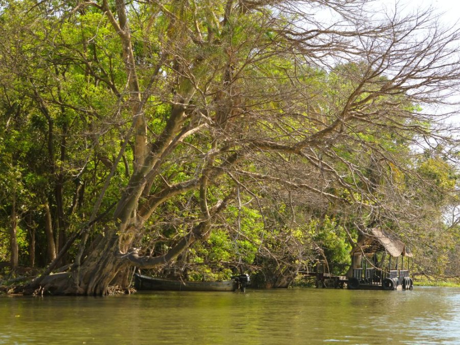 Rivière au Malawi