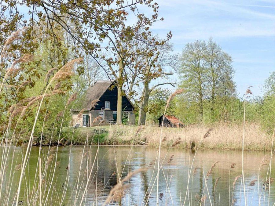 Jolie petite maison à louer Jolie petite maison à louer