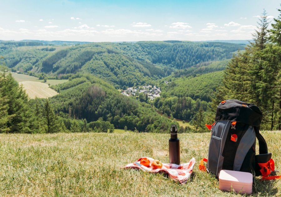 Belle vue sur les Ardennes belges Belle vue sur les Ardennes belges