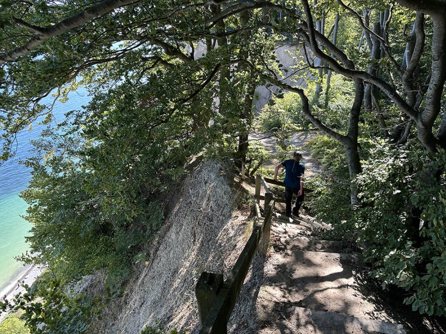 Sentier forestier le long des falaises
