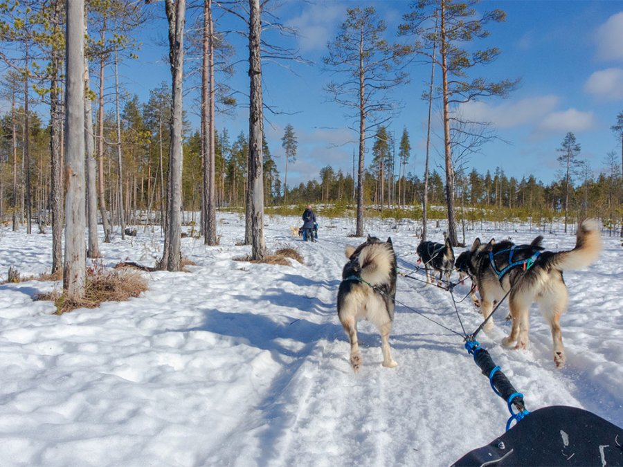 Nature à Suomussalmi