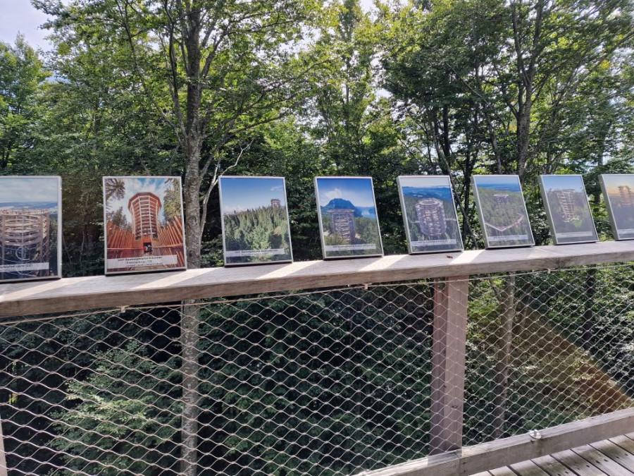 Parcours dans les arbres en Europe