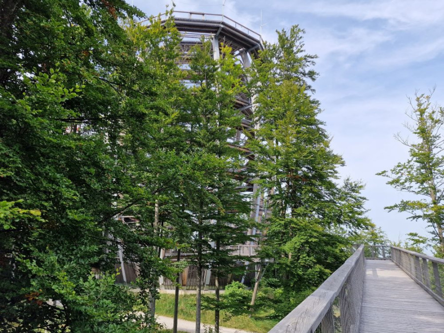 Parcours dans les cimes en Autriche