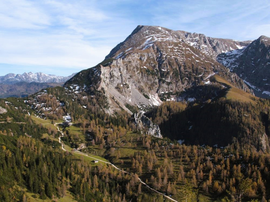 Sentier dans les Alpes allemandes