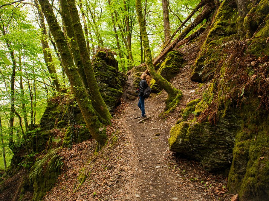 Randonnée dans la nature Randonnée dans la nature
