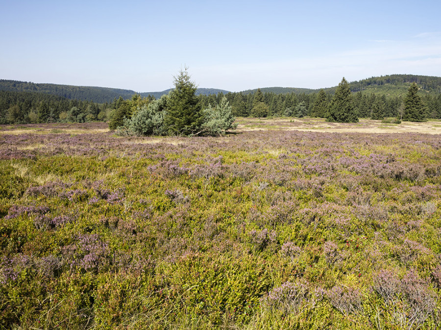 Hochheide Hochheide