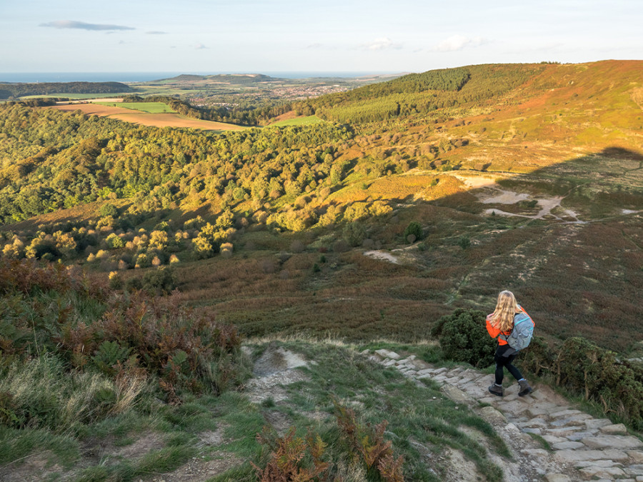 La nature dans le Yorkshire La nature dans le Yorkshire
