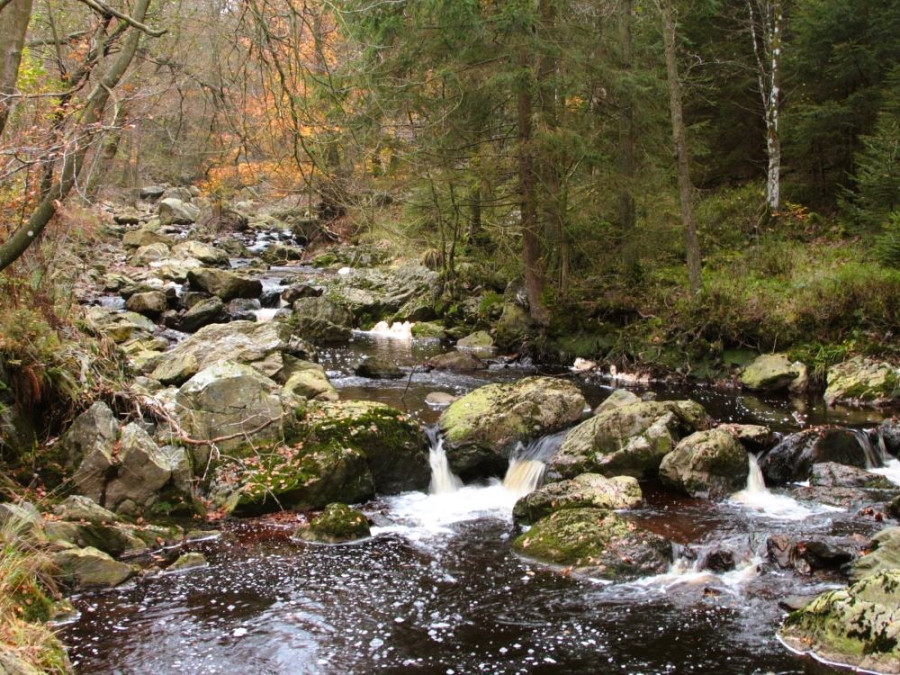 Riviere Ardenne Riviere Ardenne
