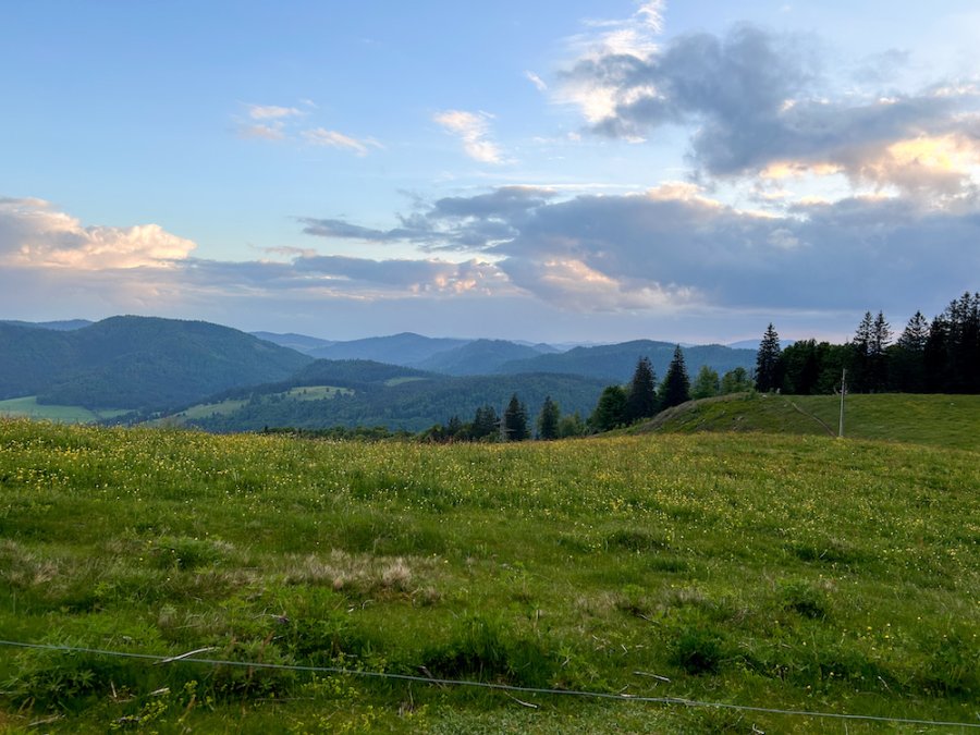 Vue Kleine Spießhorn