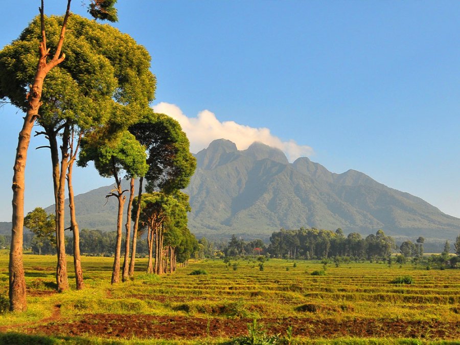 Parc national au Rwanda