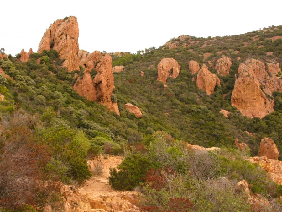 La nature dans le massif de l'Esterel